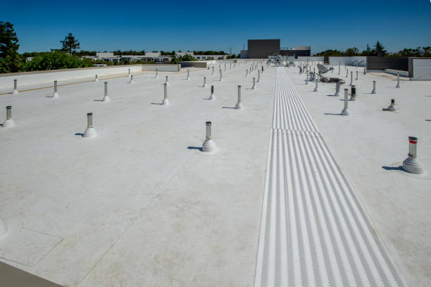 Steel Roofing in Evans, CO